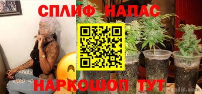 прущие грибы Лесосибирск