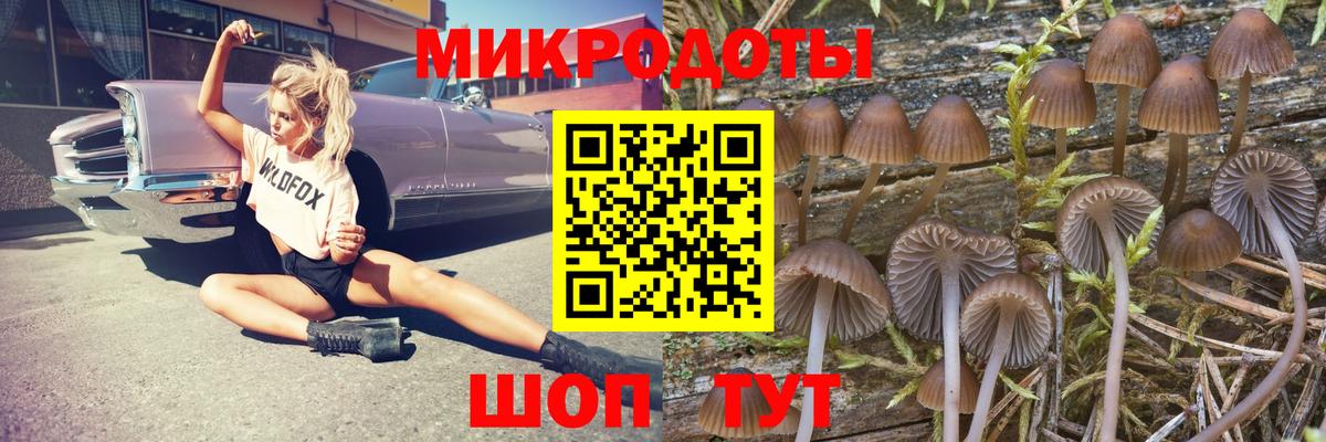 Псилоцибиновые грибы мухоморы Богородицк