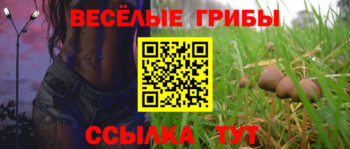Богородицк  Галлюциногенные грибы мухоморы  Вход с VPN 